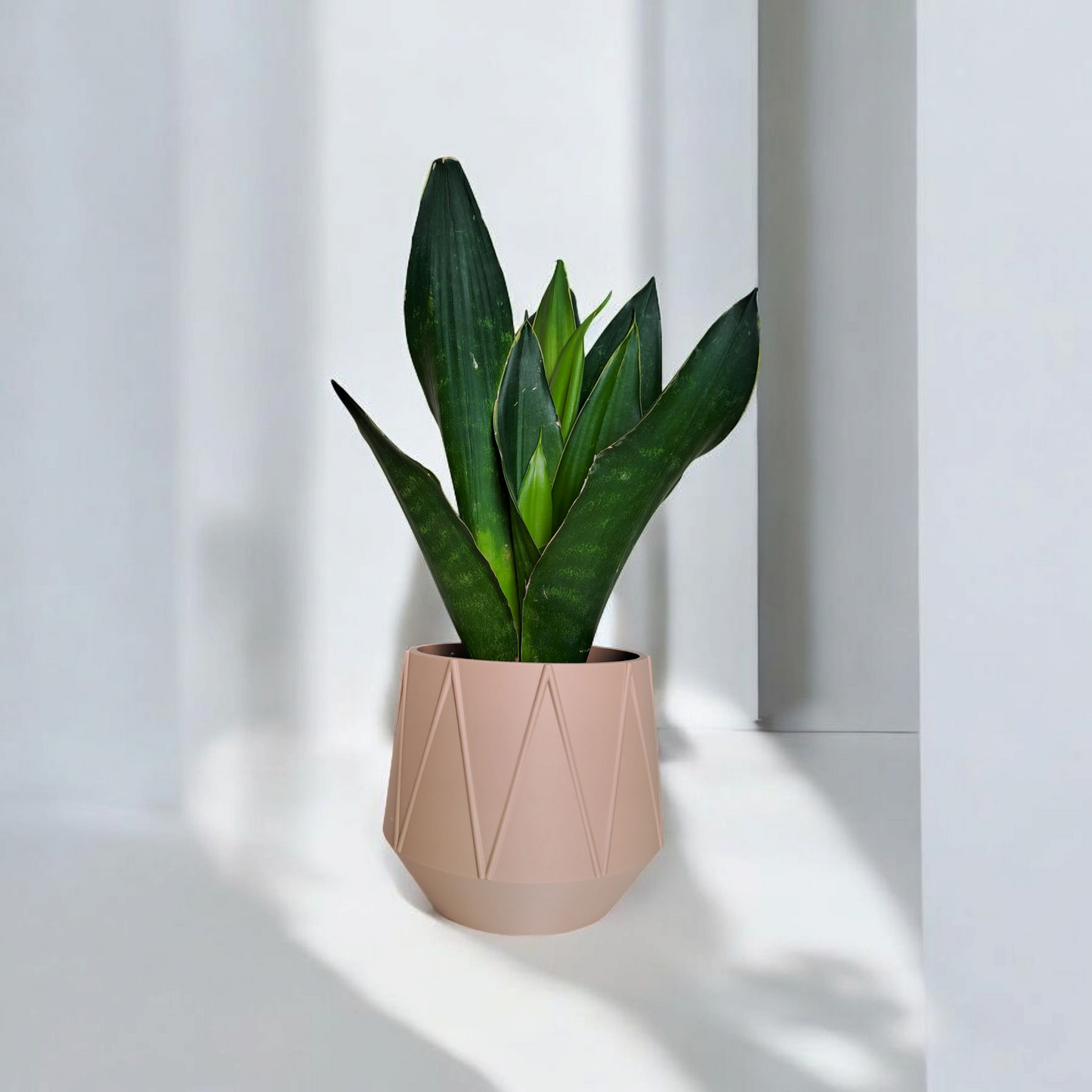 Pflanzentopf "Vellura"