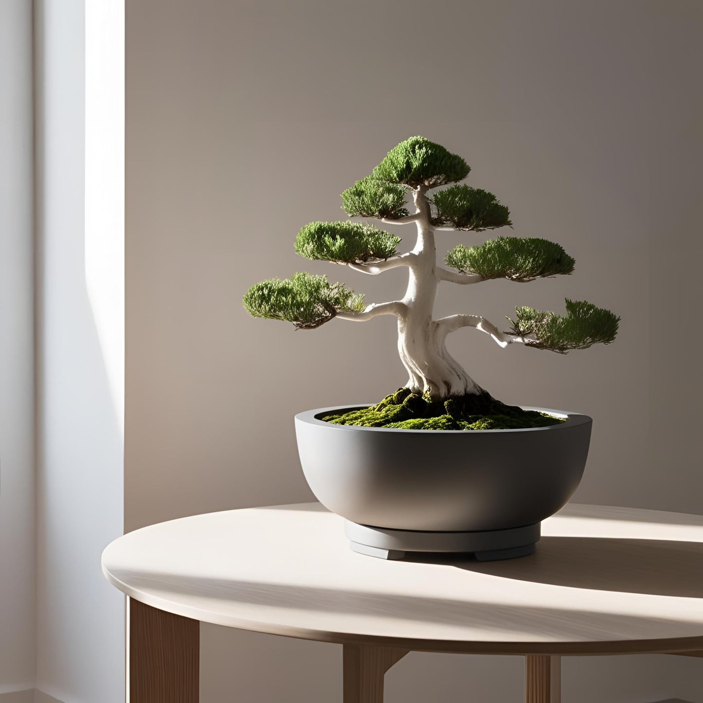 Bonsai Topf "Aravelle"