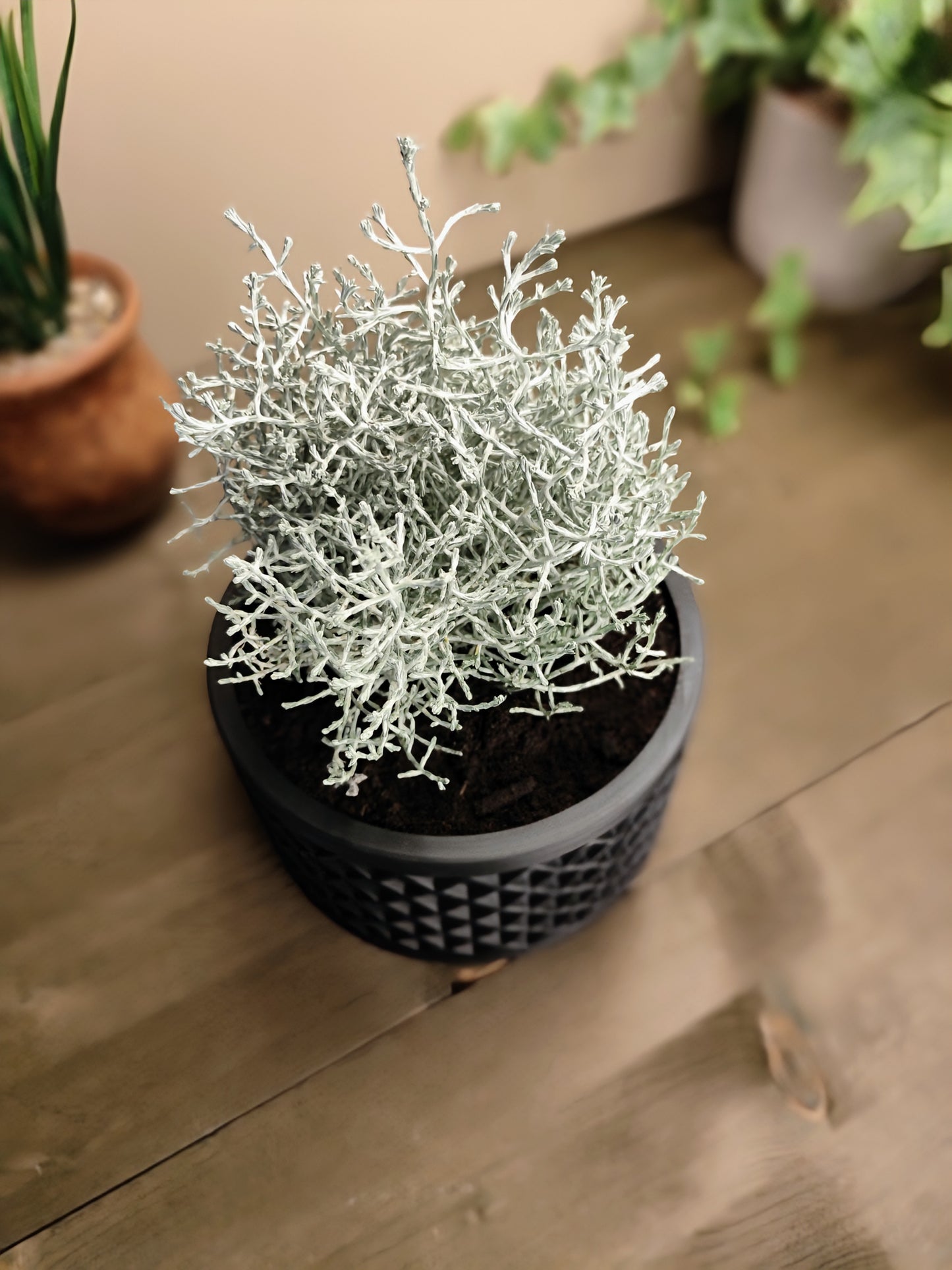 Pflanzentopf "Obsidian"